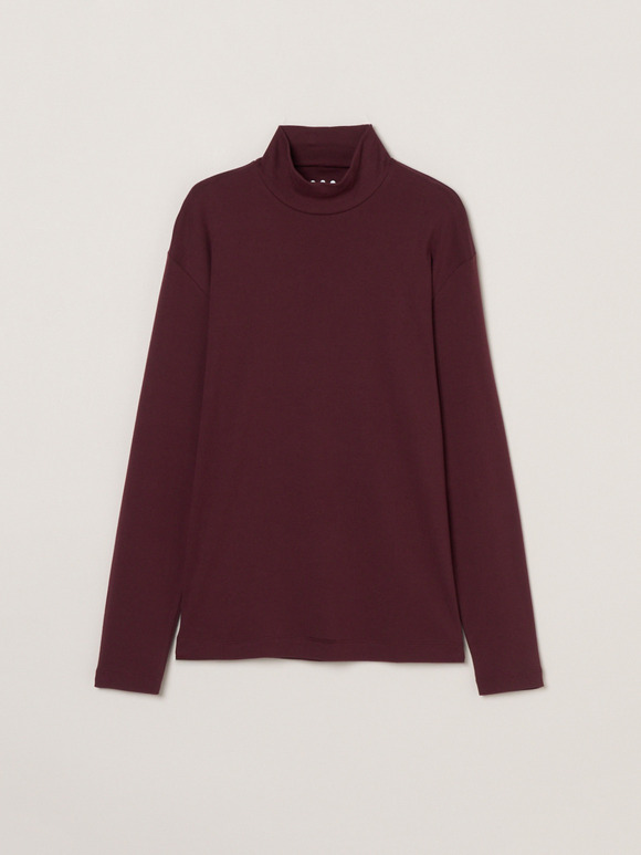 Men's organic cotton knit turtle