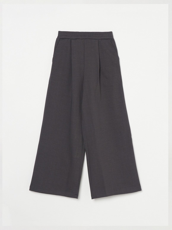 Sleek canvas wide pants