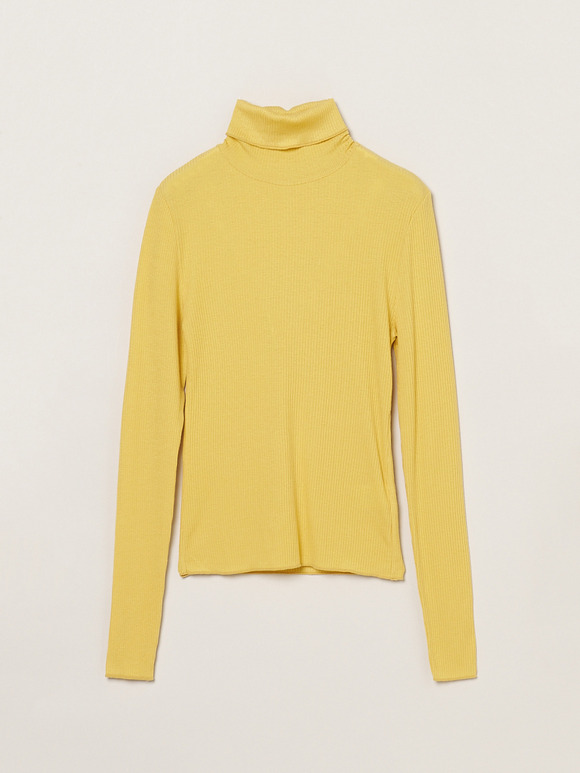 Silk cashmere tee turtle neck