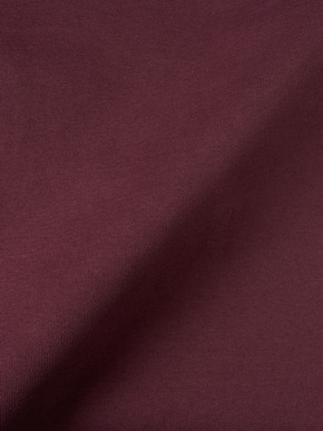 Men's Organic Rib long sleeve mock neck 詳細画像