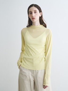 Soft see through mellow turtle 詳細画像