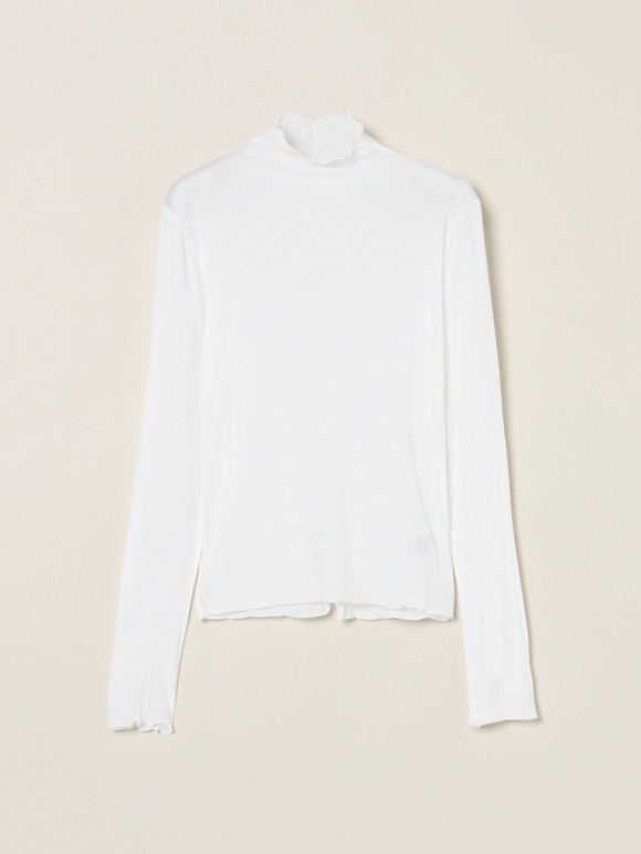 Soft see through mellow turtle