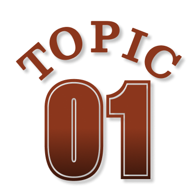 TOPIC 01