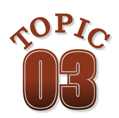 TOPIC 03